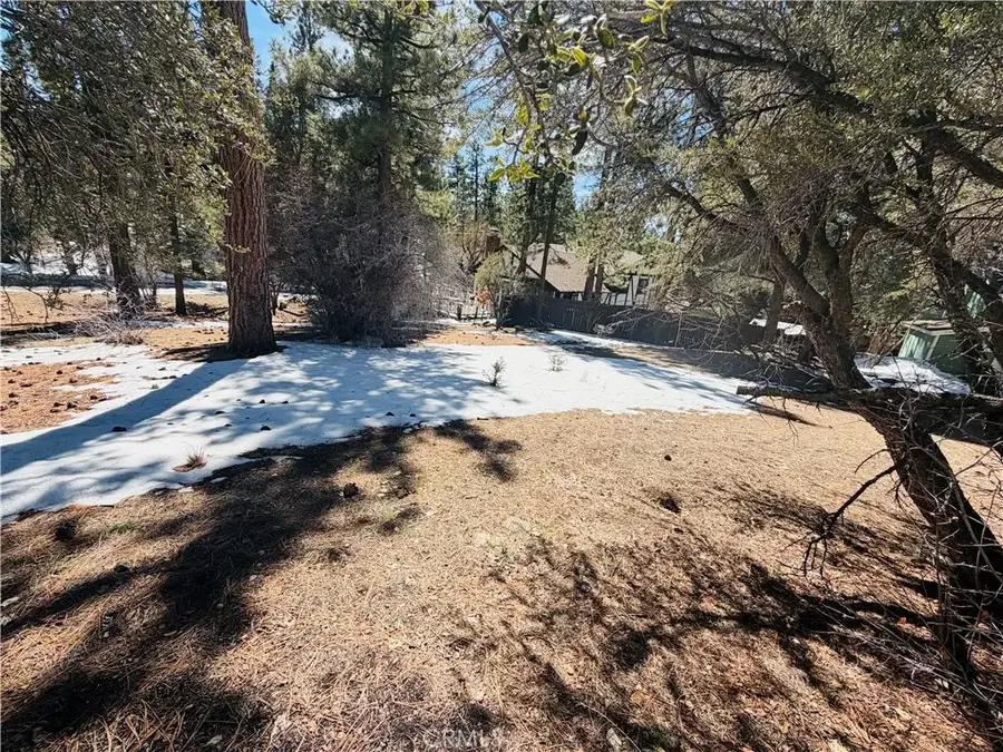 808 Antelope Mountain, Big Bear City, CA 92314 - #2
