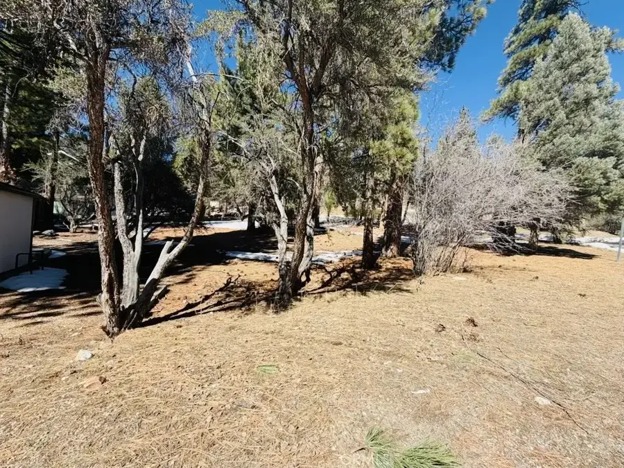 808 Antelope Mountain, Big Bear City, CA 92314 - #3