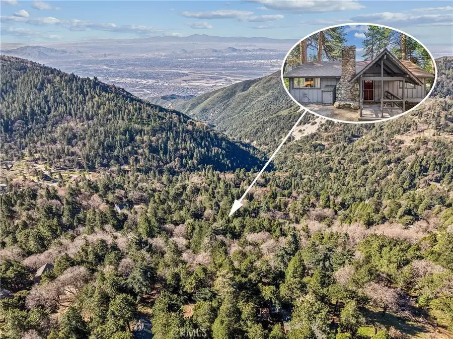 21621 Sawpit Canyon, Cedarpines Park, CA 92322 - #3