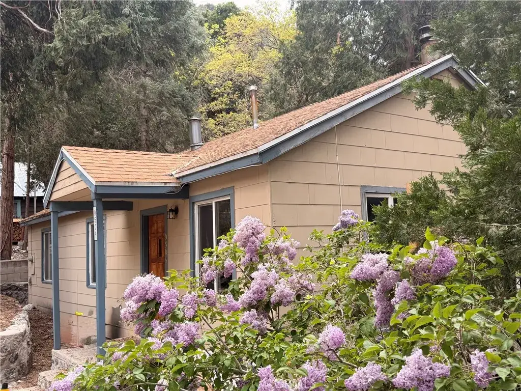 9504 Summit, Forest Falls, CA 92339 - #1