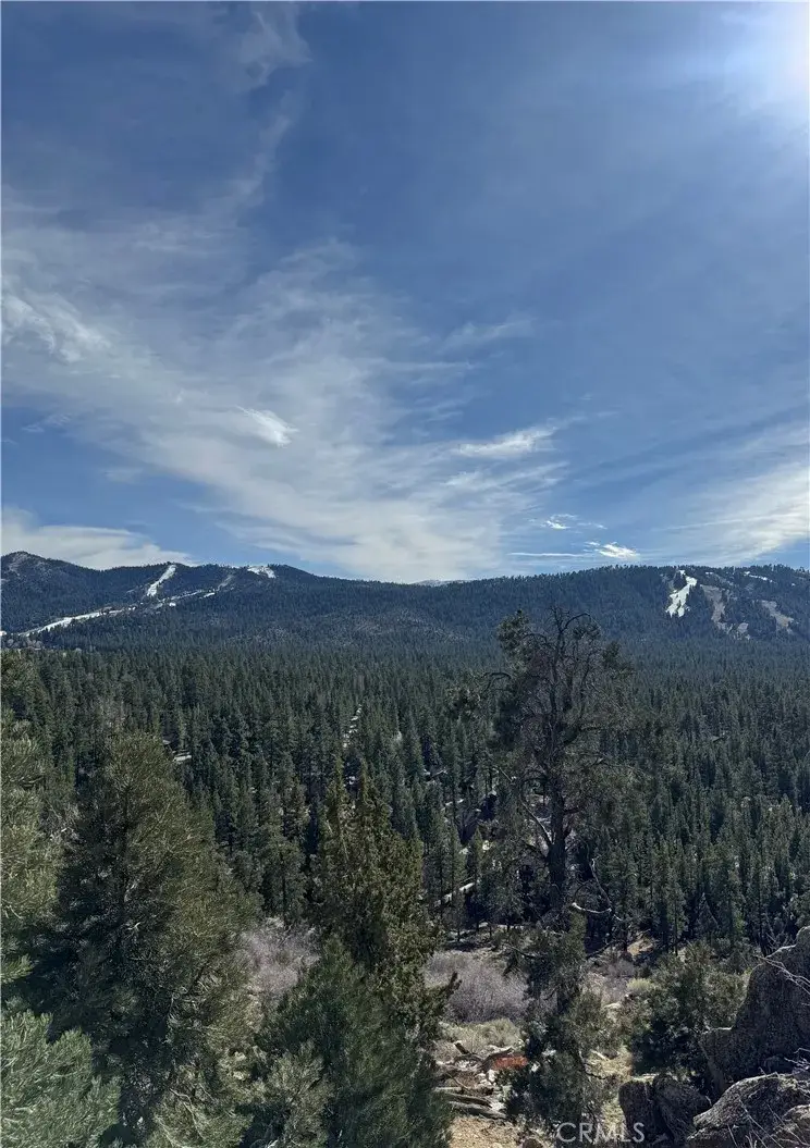 42535 Pegasus, Big Bear Lake, CA 92315 - #2