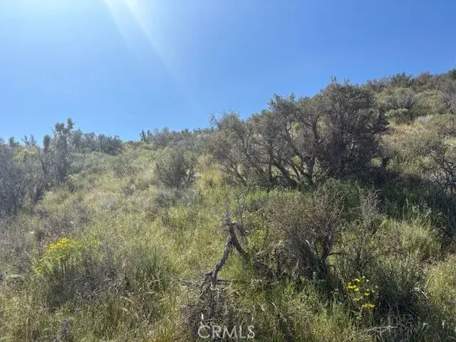 0 None, Pinon Hills, CA 92372 - #2