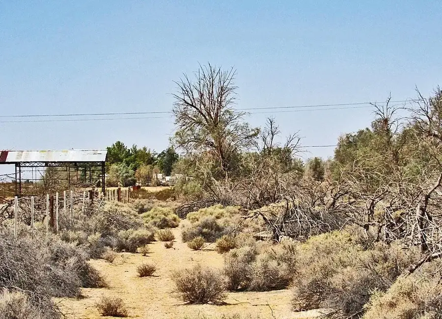 0 0531-151-31-0000 Silver Valley, Newberry Springs, CA 92365 - #2