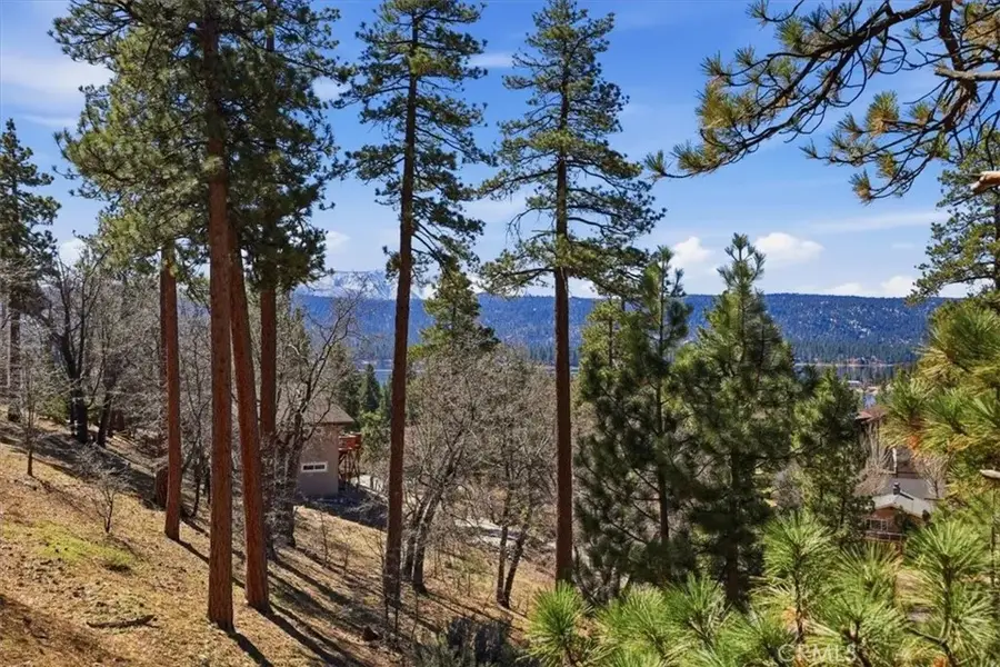 1146 Ridge, Fawnskin, CA 92333 - #3