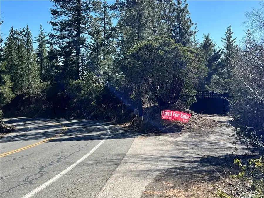 0 Ca-38, Angelus Oaks, CA 92305 - #2