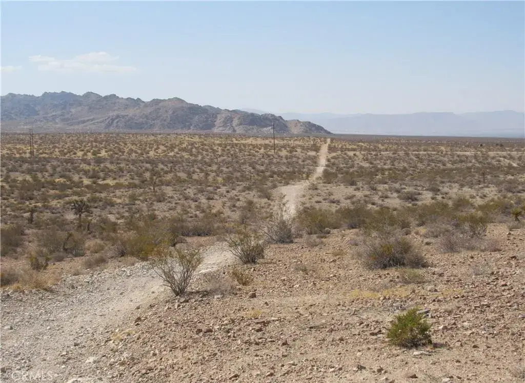 0 0463-111-11-0000 Leaping Lizard, Apple Valley, CA 92307 - #1