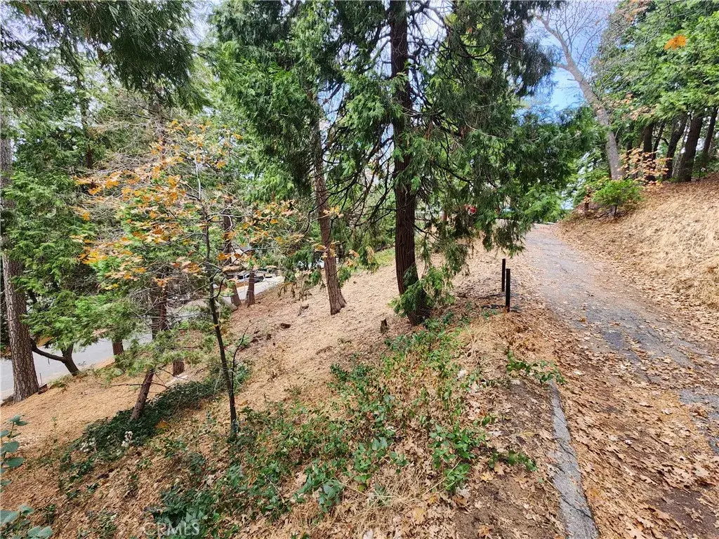 24397 Horst, Crestline, CA 92325 - #1