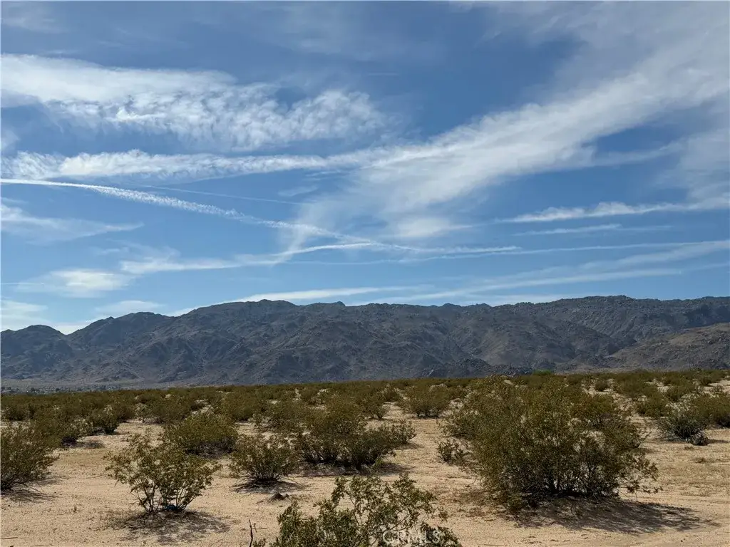 0 Mesquite Springs, Twentynine Palms, CA 92277 - #1