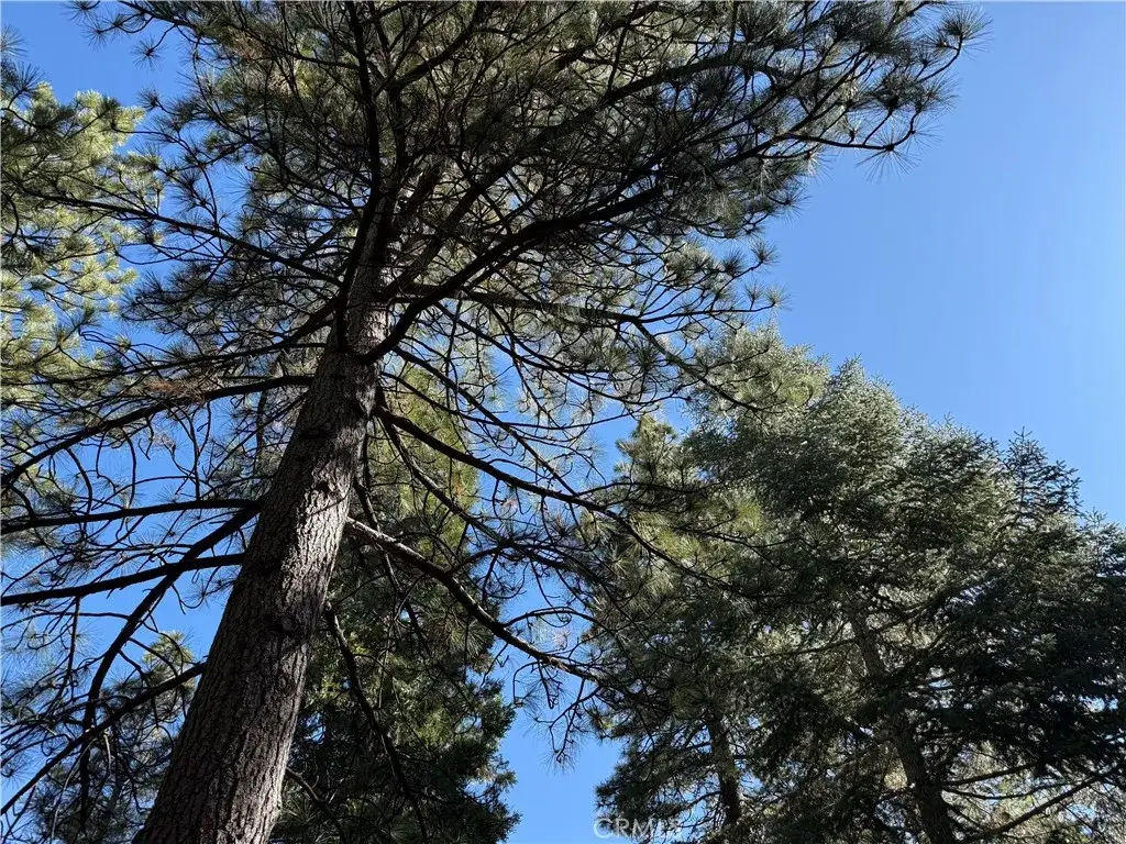 27334 Pinewood Drive, Lake Arrowhead, CA 92352 - #1