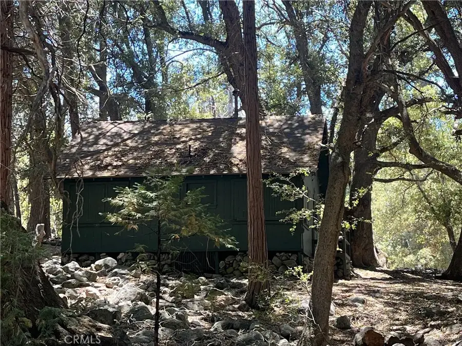 7 Oak Court #78, Angelus Oaks, CA 92305 - #3