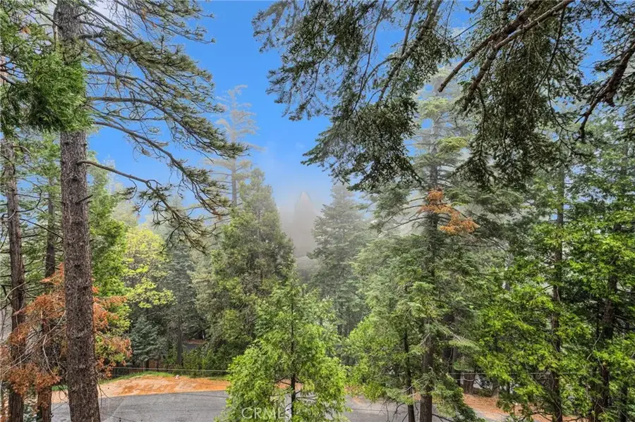 26241 Boulder Lane, Twin Peaks, CA 92391 - #3