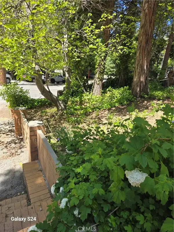 29053 Hook Creek, Cedar Glen, CA 92321