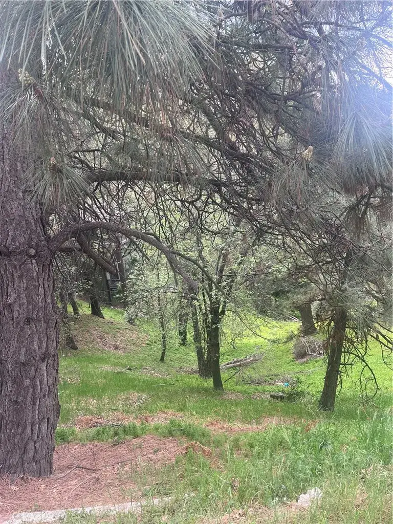 0 Jewel, Crestline, CA 92325 - #3