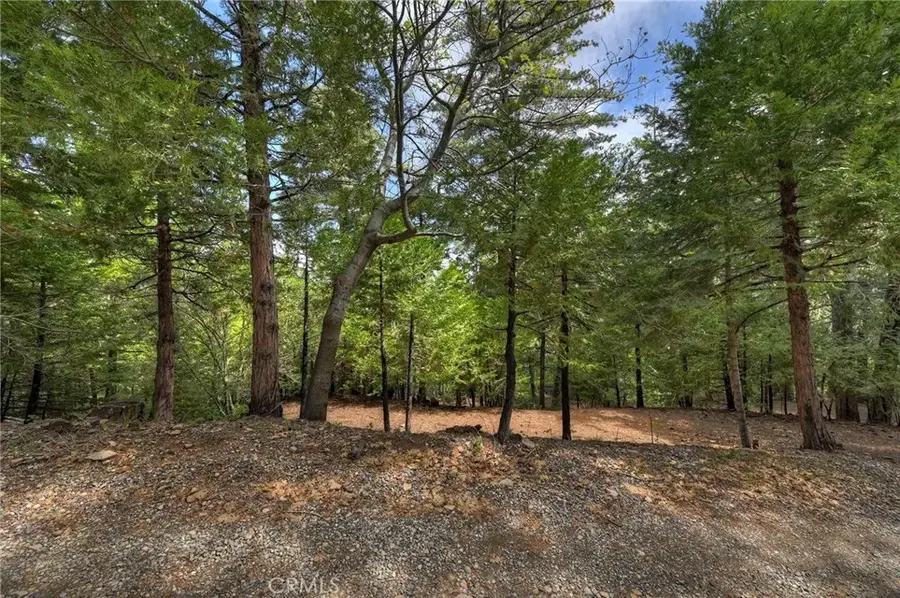 0 Stonehill, Lake Arrowhead, CA 92385 - #3