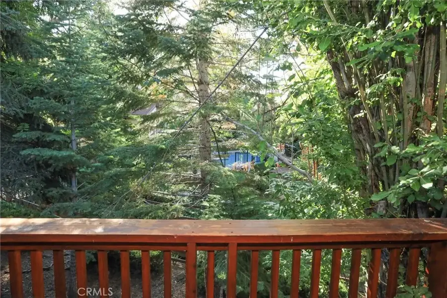 861 Thrush, Big Bear Lake, CA 92315 - #2