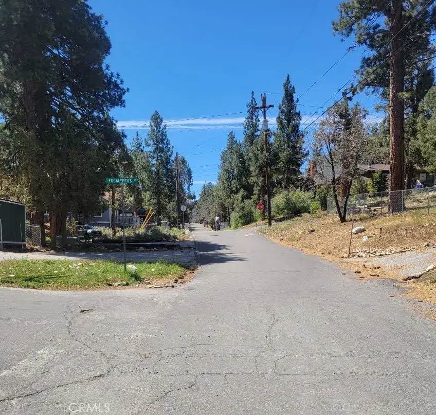 0 Riverside, Sugarloaf, CA 92386 - #2