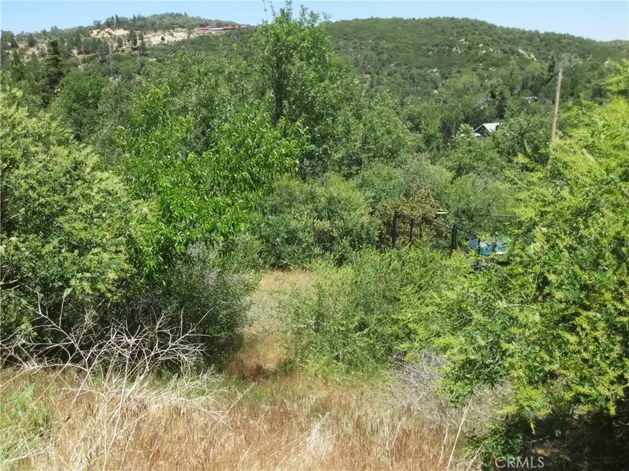 0 Ca-173, Lake Arrowhead, CA 92352 - #2