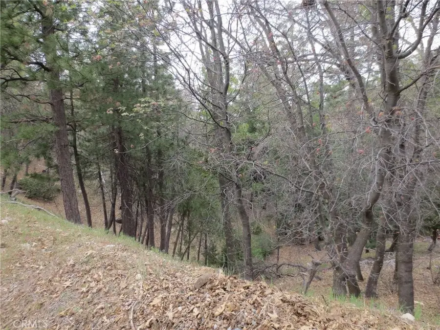 0 Ca-173, Lake Arrowhead, CA 92352 - #3