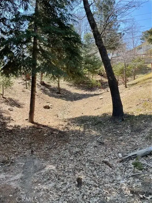 0 Circle, Lake Arrowhead, CA 92323 - #3