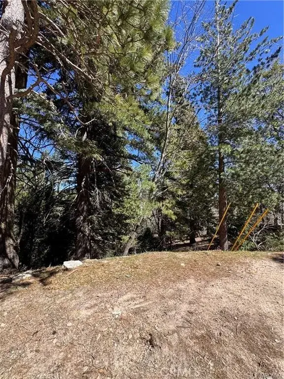 0 Mid, Twin Peaks, CA 92391 - #2