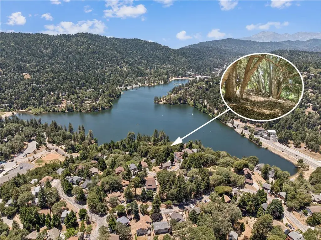 2727 Delle, Crestline, CA 92325 - #1