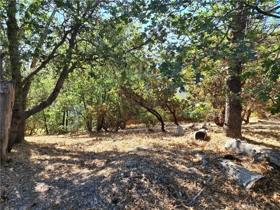1248 Glacier, Lake Arrowhead, CA 92352 - #2