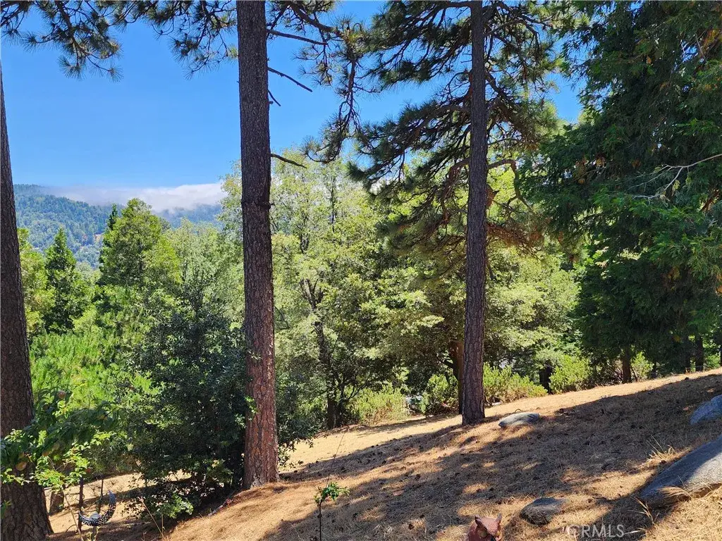 315 Weisshorn, Crestline, CA 92325 - #1