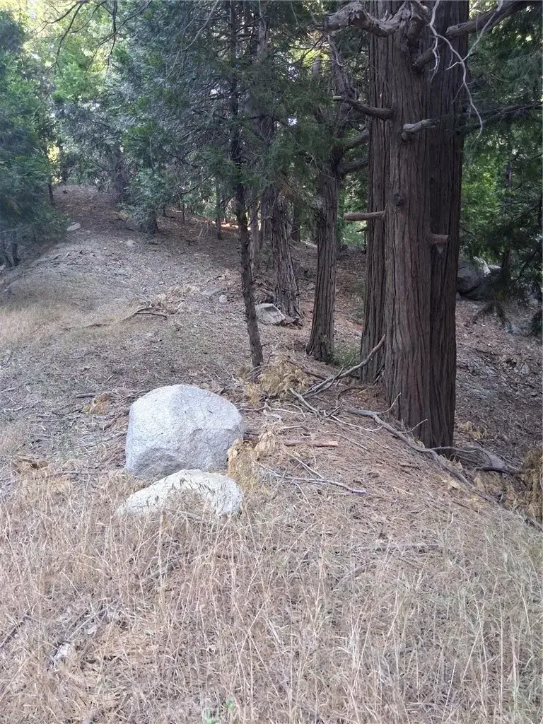6 Finhaut, Crestline, CA 92325 - #2