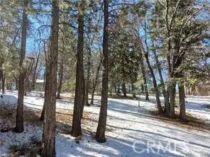 0 Columbine, Big Bear City, CA 92314 - #1