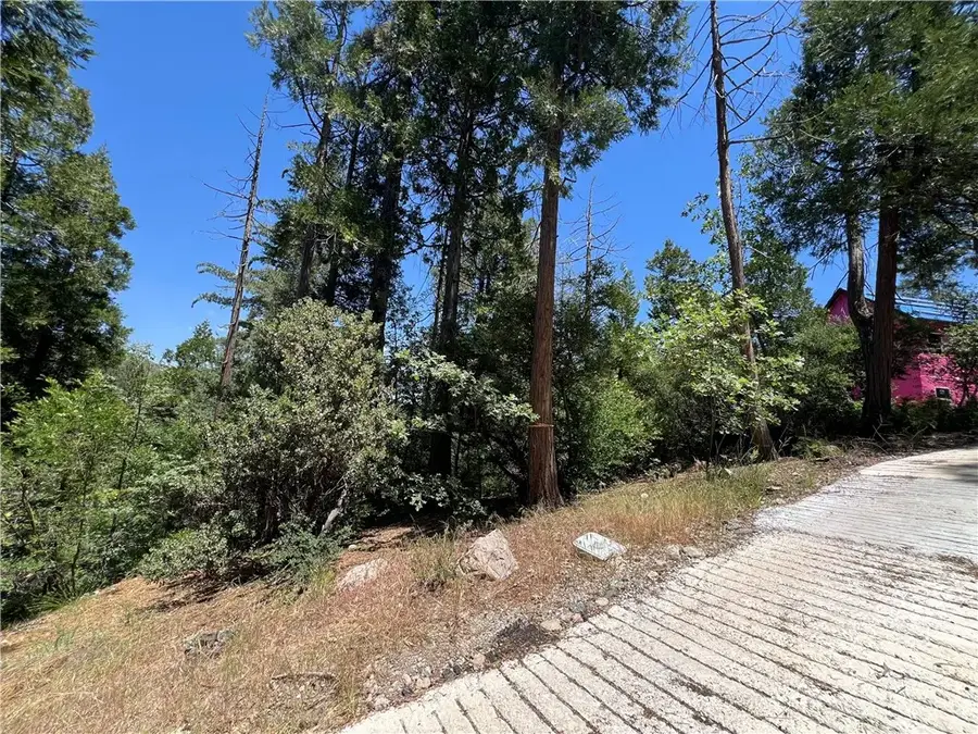 27530 North Bay Road, Lake Arrowhead, CA 92352 - #2