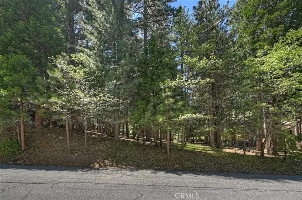 388 Riviera, Lake Arrowhead, CA 92352 - #1