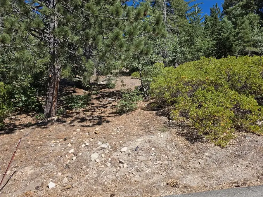 2419 Pine, Running Springs, CA 92382 - #2