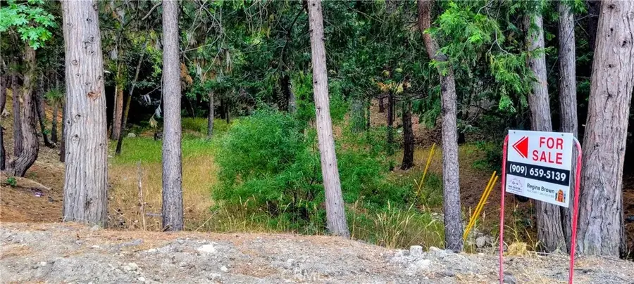 0 Grass Valley, Lake Arrowhead, CA 92352 - #2