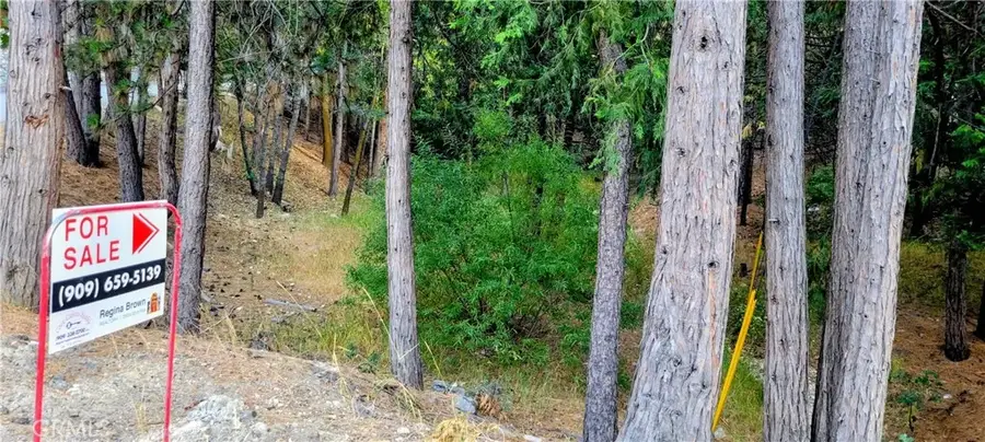 0 Grass Valley, Lake Arrowhead, CA 92352 - #3