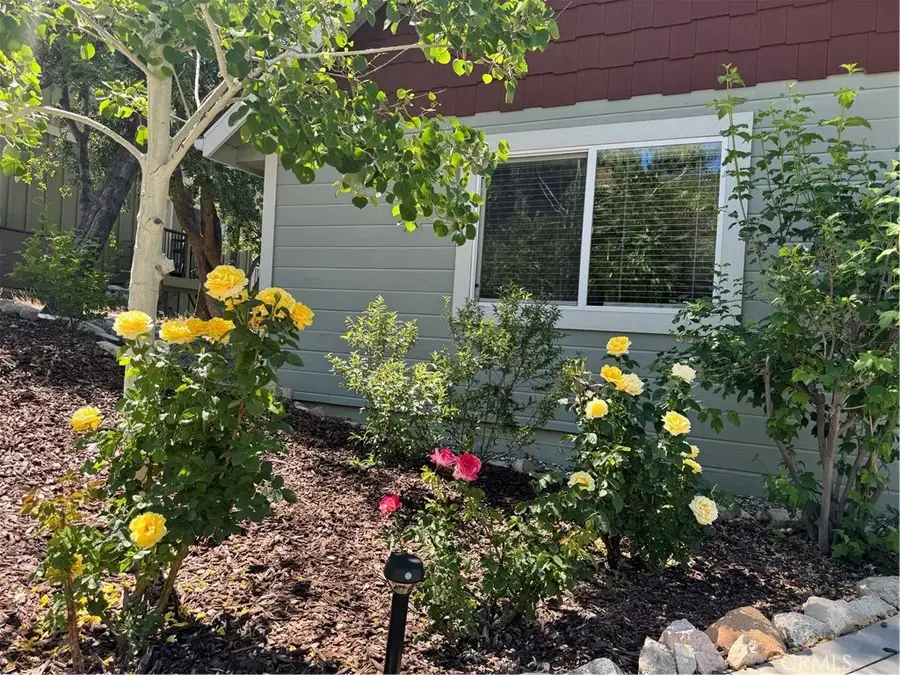 1465 Golden Rule Lane, Lake Arrowhead, CA 92352 - #3