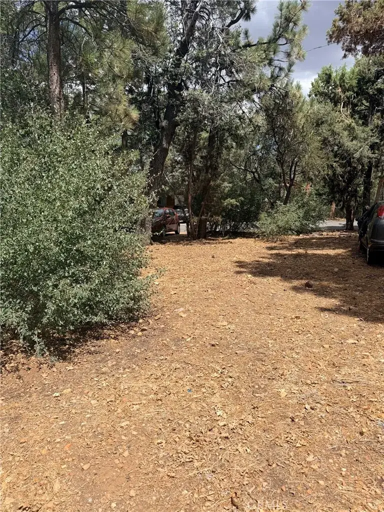 0 Imperial, Sugarloaf, CA 92386 - #1