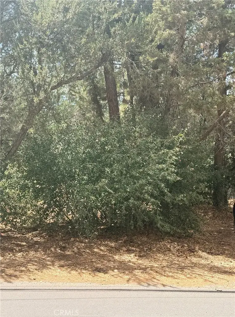 0 Imperial, Sugarloaf, CA 92386 - #3