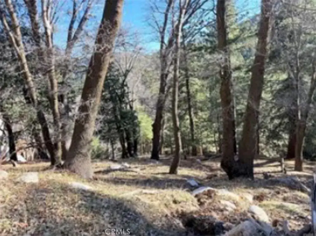 0 Thunderbird, Lake Arrowhead, CA 92352 - #1