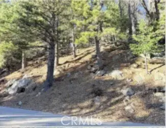 0 Thunderbird, Lake Arrowhead, CA 92352 - #2