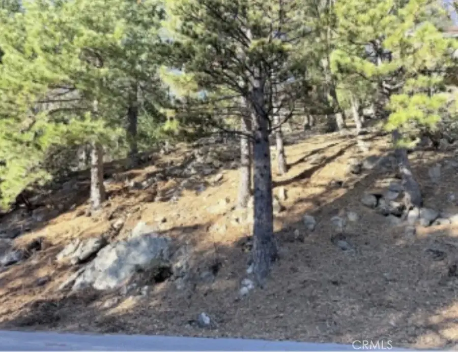 0 Thunderbird, Lake Arrowhead, CA 92352 - #3