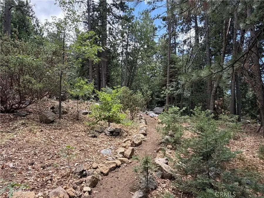 6212 Oak, Angelus Oaks, CA 92305 - #3