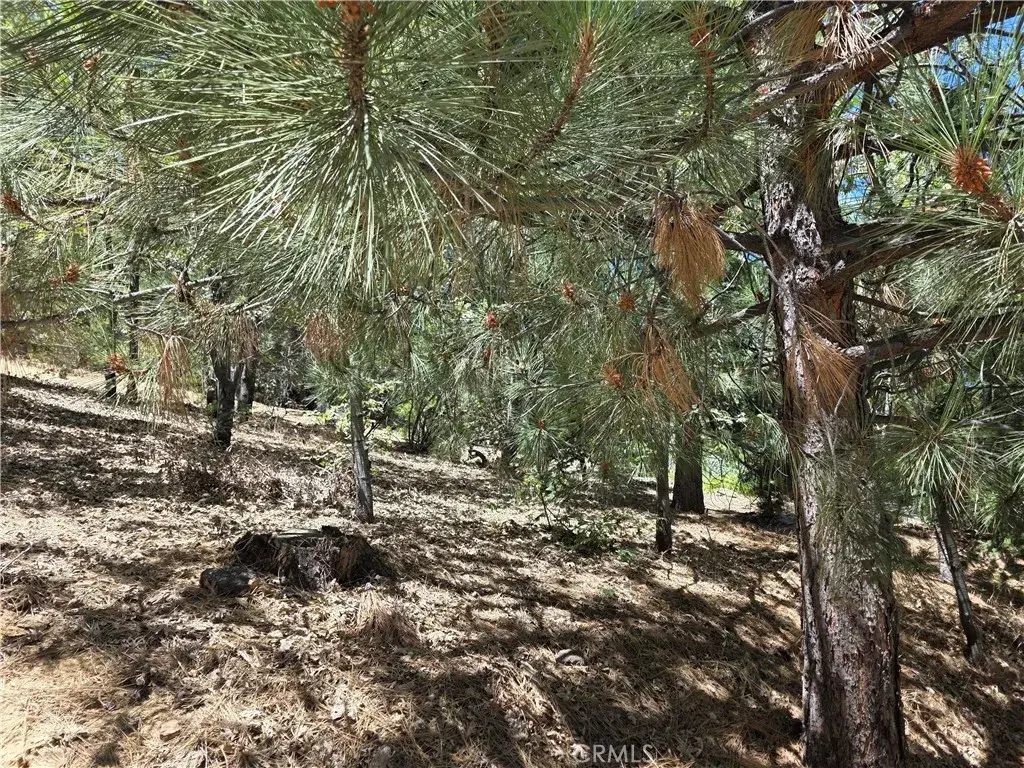 28276 Arbon, Lake Arrowhead, CA 92352 - #1