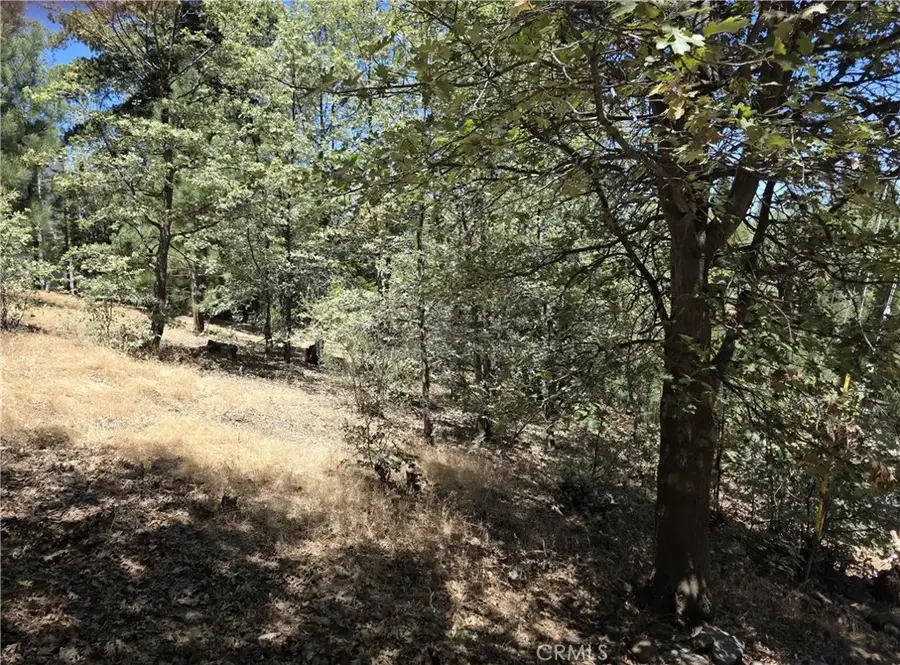 28276 Arbon, Lake Arrowhead, CA 92352 - #2