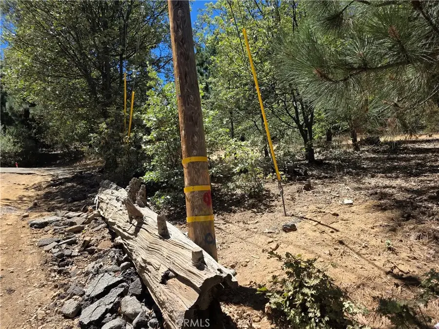 28276 Arbon, Lake Arrowhead, CA 92352 - #3