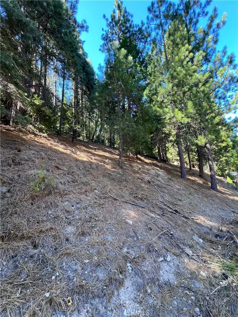 0 Brentwood, Lake Arrowhead, CA 92352 - #3