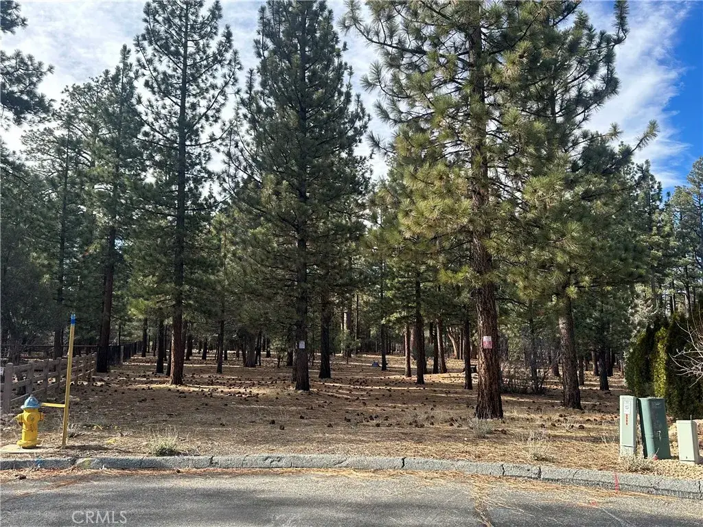 1801 Shady, Big Bear City, CA 92314 - #1