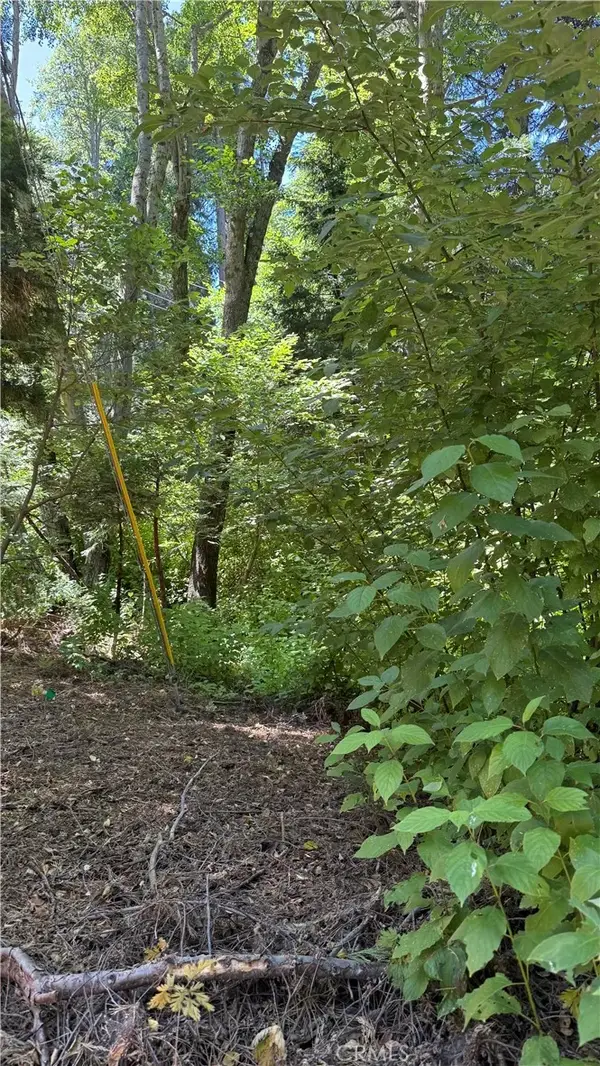 0 Rainbow, Lake Arrowhead, CA 92352