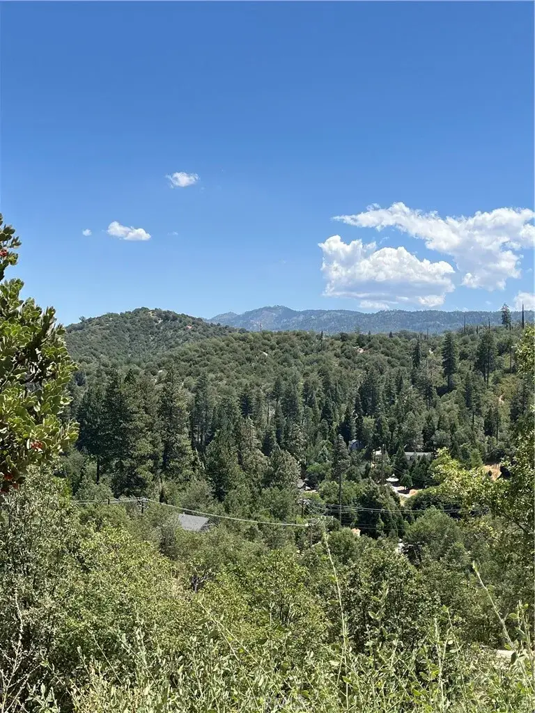 0 Hill, Cedar Glen, CA 92321 - #1