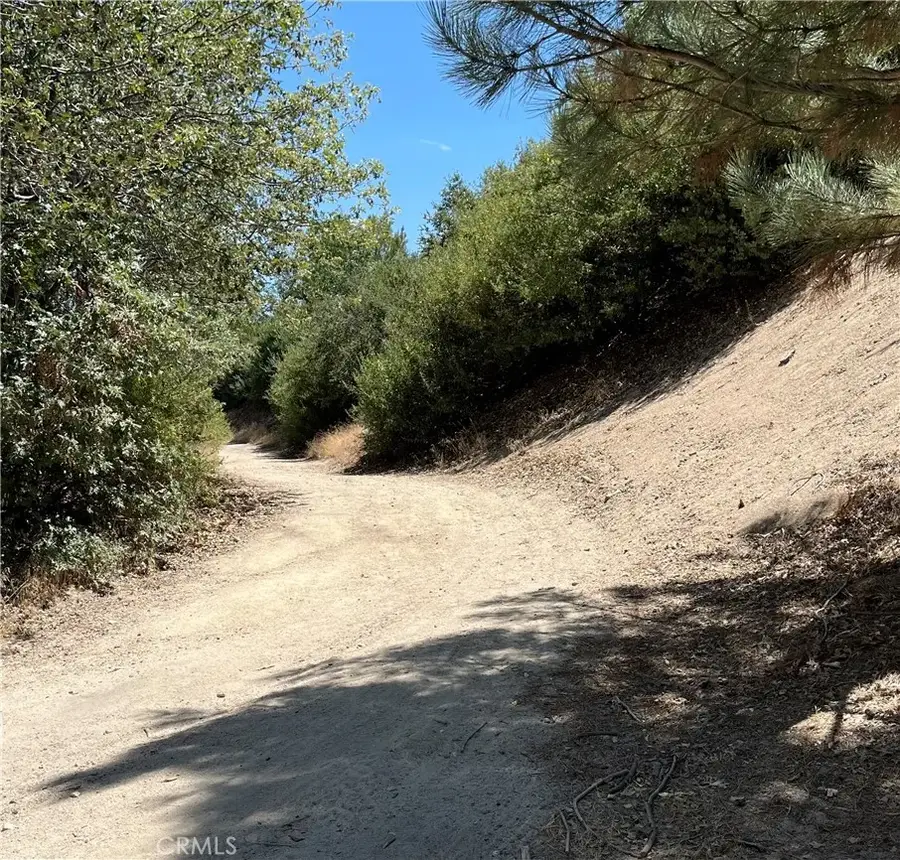 0 Hill, Cedar Glen, CA 92321 - #2