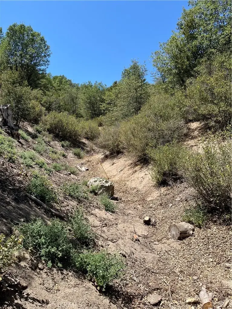 0 Hill, Cedar Glen, CA 92321 - #3